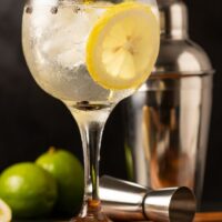 DRINK GIN TÔNICA (400ML)